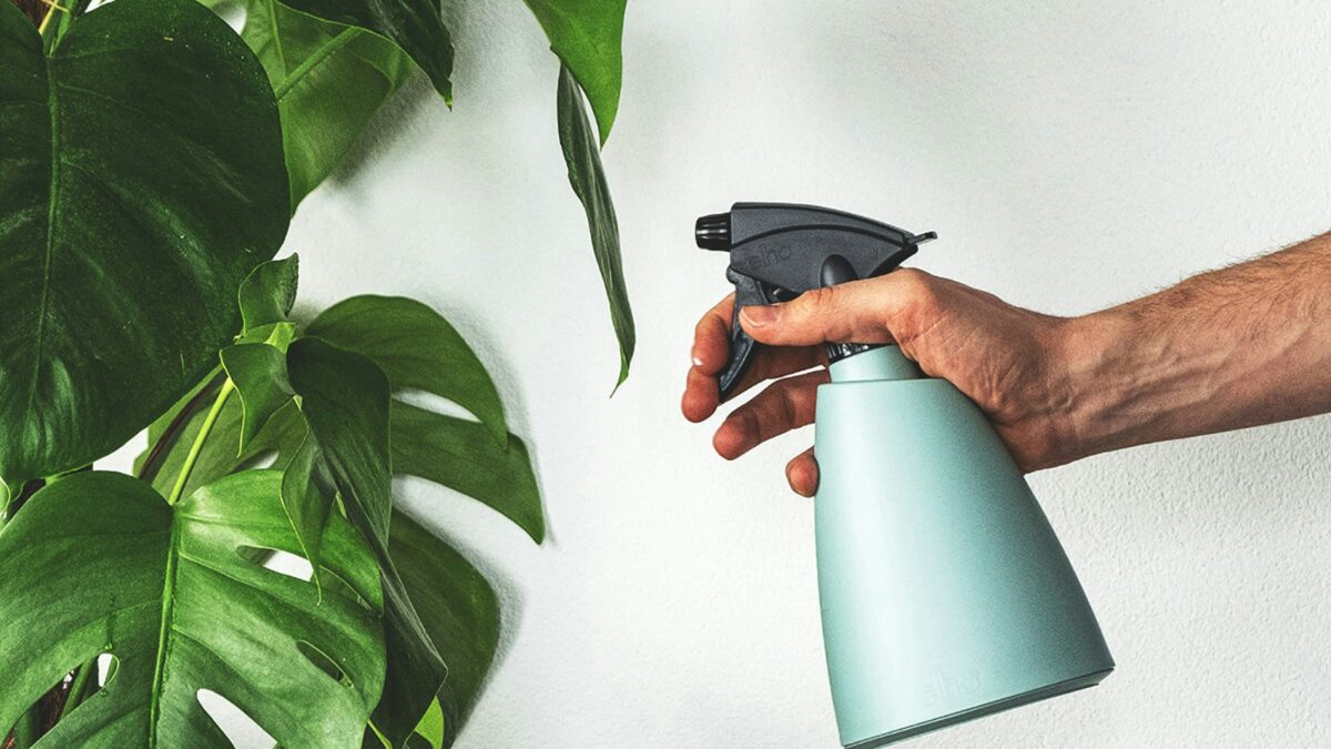 Descubra como usar a Costela de Adão na decoração de interiores, com dicas de cultivo, cuidados e arranjos para um ambiente sofisticado.